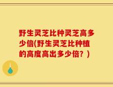 野生灵芝比种灵芝高多少倍(野生灵芝比种植的高度高出多少倍？)