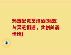 蚂蚁配灵芝泡酒(蚂蚁与灵芝相遇，共创美酒佳话)