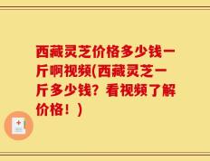 西藏灵芝价格多少钱一斤啊视频(西藏灵芝一斤多少钱？看视频了解价格！)