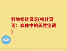 野生松针灵芝(松针灵芝：森林中的天然宝藏)