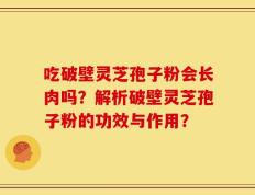 吃破壁灵芝孢子粉会长肉吗？解析破壁灵芝孢子粉的功效与作用？