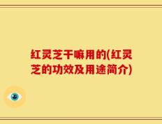 红灵芝干嘛用的(红灵芝的功效及用途简介)