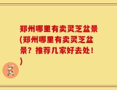 郑州哪里有卖灵芝盆景(郑州哪里有卖灵芝盆景？推荐几家好去处！)