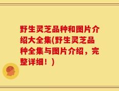 野生灵芝品种和图片介绍大全集(野生灵芝品种全集与图片介绍，完整详细！)