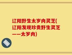 辽阳野生太岁肉灵芝(辽阳发现珍贵野生灵芝——太岁肉)