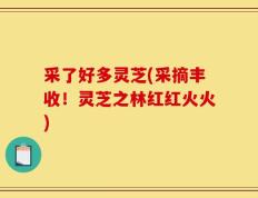 采了好多灵芝(采摘丰收！灵芝之林红红火火)