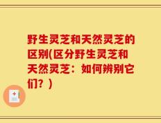 野生灵芝和天然灵芝的区别(区分野生灵芝和天然灵芝：如何辨别它们？)