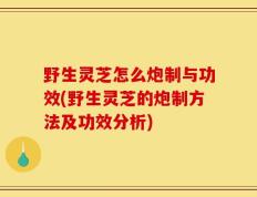野生灵芝怎么炮制与功效(野生灵芝的炮制方法及功效分析)