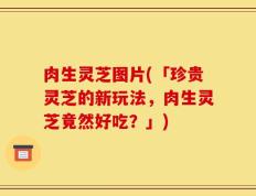 肉生灵芝图片(「珍贵灵芝的新玩法，肉生灵芝竟然好吃？」)