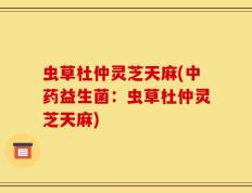 虫草杜仲灵芝天麻(中药益生菌：虫草杜仲灵芝天麻)