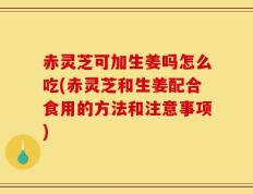 赤灵芝可加生姜吗怎么吃(赤灵芝和生姜配合食用的方法和注意事项)