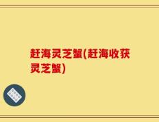 赶海灵芝蟹(赶海收获灵芝蟹)