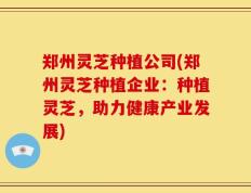 郑州灵芝种植公司(郑州灵芝种植企业：种植灵芝，助力健康产业发展)