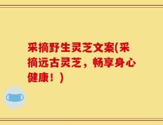 采摘野生灵芝文案(采摘远古灵芝，畅享身心健康！)