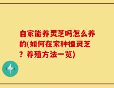 自家能养灵芝吗怎么养的(如何在家种植灵芝？养殖方法一览)