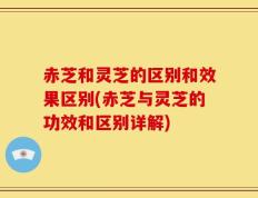 赤芝和灵芝的区别和效果区别(赤芝与灵芝的功效和区别详解)
