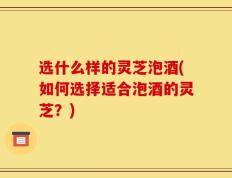 选什么样的灵芝泡酒(如何选择适合泡酒的灵芝？)
