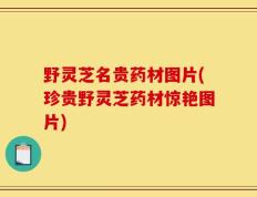 野灵芝名贵药材图片(珍贵野灵芝药材惊艳图片)
