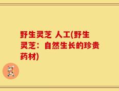 野生灵芝 人工(野生灵芝：自然生长的珍贵药材)