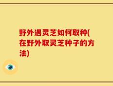 野外遇灵芝如何取种(在野外取灵芝种子的方法)