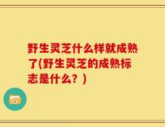野生灵芝什么样就成熟了(野生灵芝的成熟标志是什么？)