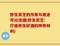 野生灵芝的作用与用途可以泡酒(野生灵芝：打造养生好酒的神奇材料)