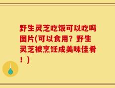 野生灵芝吃饭可以吃吗图片(可以食用？野生灵芝被烹饪成美味佳肴！)