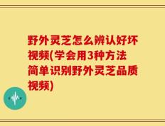 野外灵芝怎么辨认好坏视频(学会用3种方法简单识别野外灵芝品质视频)