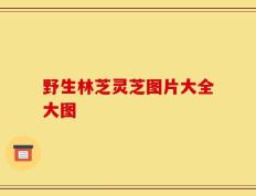 野生林芝灵芝图片大全大图