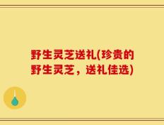 野生灵芝送礼(珍贵的野生灵芝，送礼佳选)