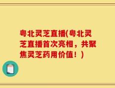 粤北灵芝直播(粤北灵芝直播首次亮相，共聚焦灵芝药用价值！)
