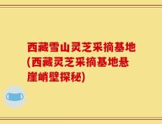 西藏雪山灵芝采摘基地(西藏灵芝采摘基地悬崖峭壁探秘)