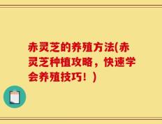 赤灵芝的养殖方法(赤灵芝种植攻略，快速学会养殖技巧！)