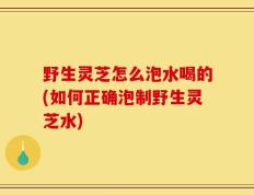 野生灵芝怎么泡水喝的(如何正确泡制野生灵芝水)