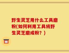野生灵芝用什么工具磨粉(如何利用工具将野生灵芝磨成粉？)