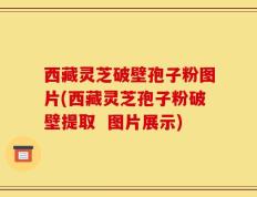 西藏灵芝破壁孢子粉图片(西藏灵芝孢子粉破壁提取  图片展示)