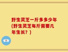 野生灵芝一斤多多少年(野生灵芝每斤需要几年生长？)