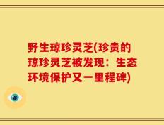 野生琼珍灵芝(珍贵的琼珍灵芝被发现：生态环境保护又一里程碑)
