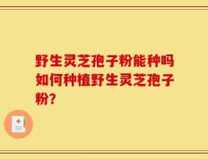 野生灵芝孢子粉能种吗如何种植野生灵芝孢子粉？