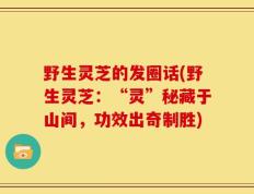 野生灵芝的发圈话(野生灵芝：“灵”秘藏于山间，功效出奇制胜)