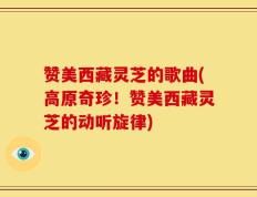 赞美西藏灵芝的歌曲(高原奇珍！赞美西藏灵芝的动听旋律)