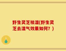 野生灵芝祛湿(野生灵芝去湿气效果如何？)
