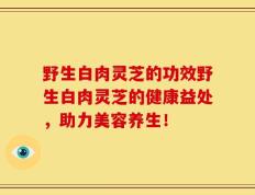 野生白肉灵芝的功效野生白肉灵芝的健康益处，助力美容养生！
