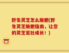 野生灵芝怎么施肥(野生灵芝施肥指南，让您的灵芝茁壮成长！)
