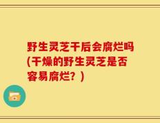 野生灵芝干后会腐烂吗(干燥的野生灵芝是否容易腐烂？)