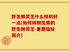 野生鲜灵芝什么样的好一点(如何辨别优质的野生鲜灵芝-重要指标简介)