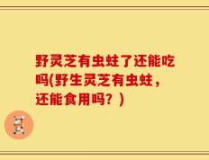 野灵芝有虫蛀了还能吃吗(野生灵芝有虫蛀，还能食用吗？)
