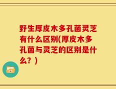 野生厚皮木多孔菌灵芝有什么区别(厚皮木多孔菌与灵芝的区别是什么？)