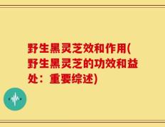 野生黑灵芝效和作用(野生黑灵芝的功效和益处：重要综述)