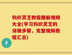 钩织灵芝教程图解视频大全(学习钩织灵芝的详细步骤，完整视频教程汇总)